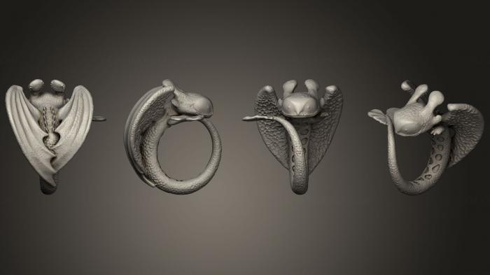 Jewelry rings (JVLRP_0942) 3D model for CNC machine